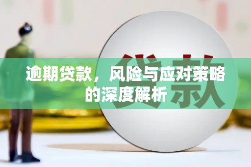 凤泉逾期贷款，风险与应对策略的深度解析