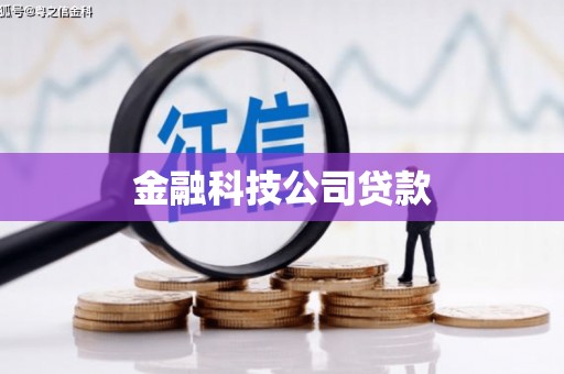 凤泉金融科技公司贷款