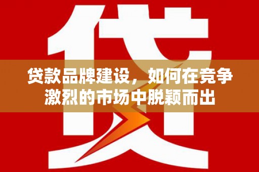 凤泉贷款品牌建设，如何在竞争激烈的市场中脱颖而出