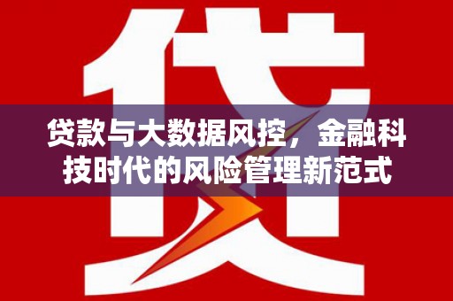 凤泉贷款与大数据风控，金融科技时代的风险管理新范式