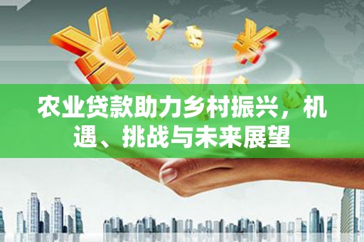 凤泉农业贷款助力乡村振兴，机遇、挑战与未来展望