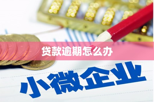 凤泉贷款逾期怎么办