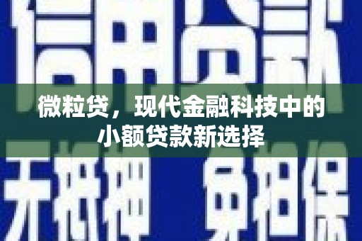 凤泉微粒贷，现代金融科技中的小额贷款新选择
