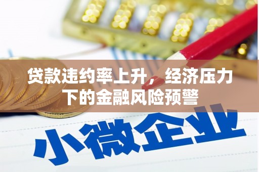 凤泉贷款违约率上升，经济压力下的金融风险预警