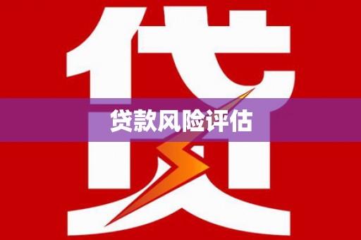 凤泉贷款风险评估