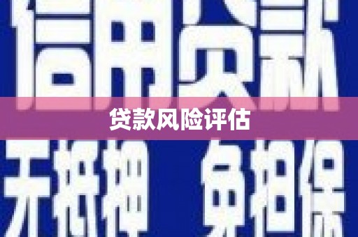 凤泉贷款风险评估