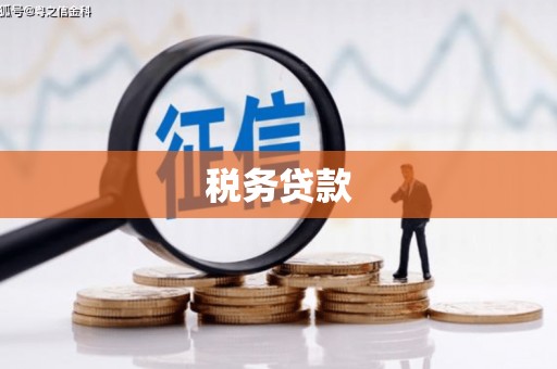凤泉税务贷款