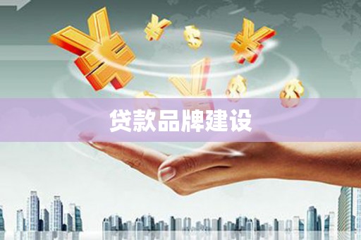 凤泉贷款品牌建设