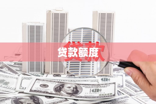 凤泉贷款额度
