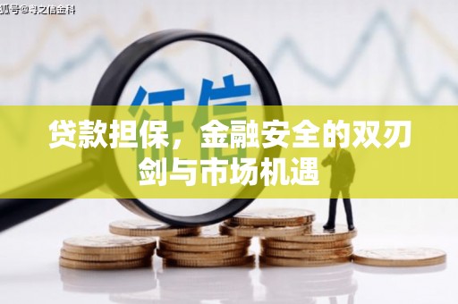 凤泉贷款担保，金融安全的双刃剑与市场机遇