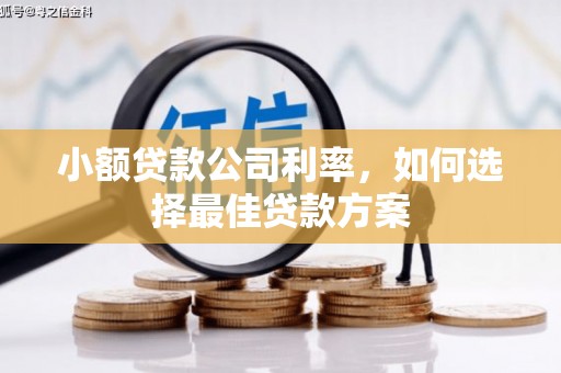 凤泉小额贷款公司利率，如何选择最佳贷款方案