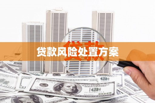 凤泉贷款风险处置方案