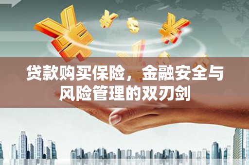 凤泉贷款购买保险，金融安全与风险管理的双刃剑