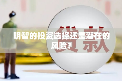 凤泉明智的投资选择还是潜在的风险？