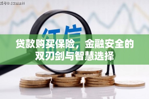 凤泉贷款购买保险，金融安全的双刃剑与智慧选择