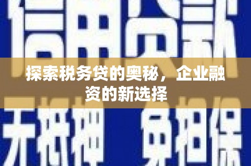 凤泉探索税务贷的奥秘，企业融资的新选择