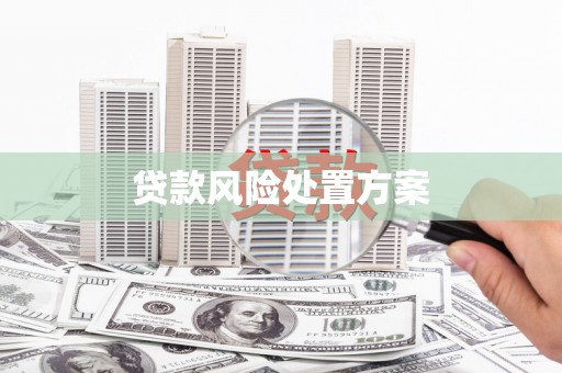 凤泉贷款风险处置方案