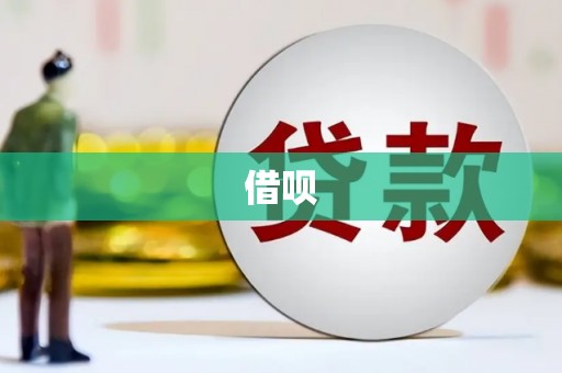 凤泉借呗