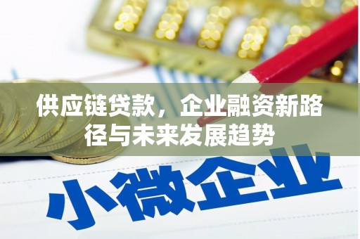 凤泉供应链贷款，企业融资新路径与未来发展趋势