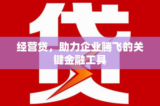 凤泉经营贷，助力企业腾飞的关键金融工具