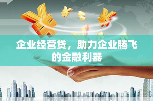 凤泉企业经营贷，助力企业腾飞的金融利器
