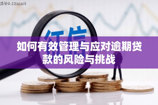 凤泉如何有效管理与应对逾期贷款的风险与挑战