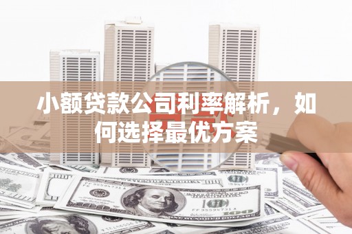 凤泉小额贷款公司利率解析，如何选择最优方案
