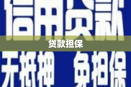 凤泉贷款担保