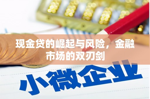 凤泉现金贷的崛起与风险，金融市场的双刃剑