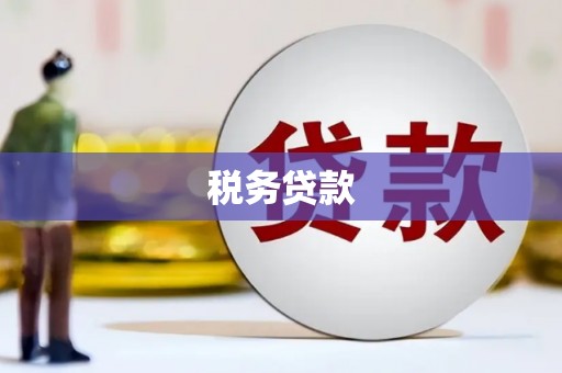 凤泉税务贷款