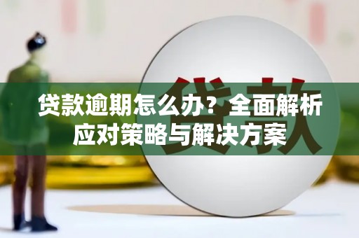 凤泉贷款逾期怎么办？全面解析应对策略与解决方案