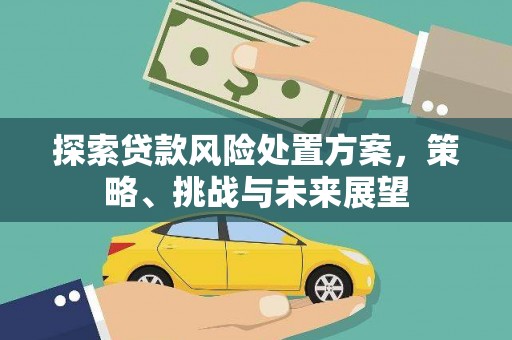 凤泉探索贷款风险处置方案，策略、挑战与未来展望
