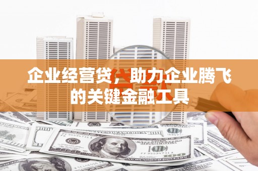 凤泉企业经营贷，助力企业腾飞的关键金融工具