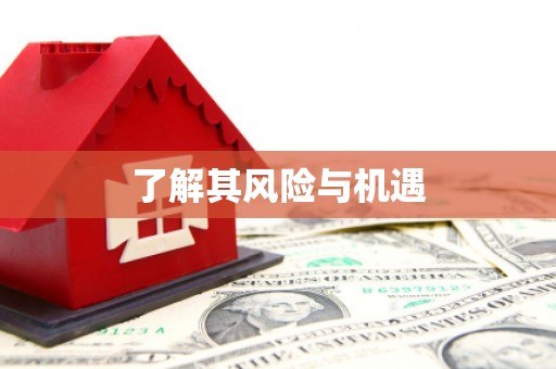 凤泉了解其风险与机遇