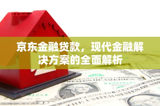 凤泉京东金融贷款，现代金融解决方案的全面解析