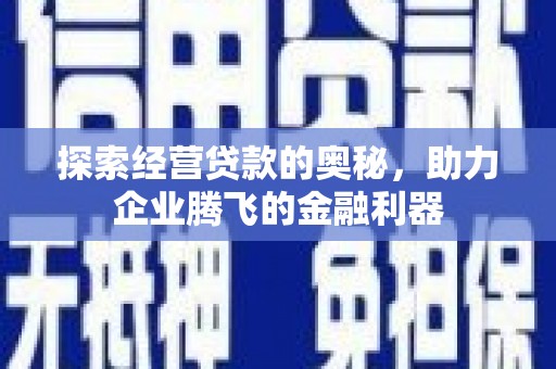 凤泉探索经营贷款的奥秘，助力企业腾飞的金融利器