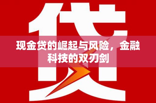 凤泉现金贷的崛起与风险，金融科技的双刃剑