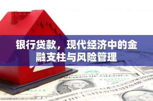 凤泉银行贷款，现代经济中的金融支柱与风险管理