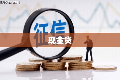 凤泉现金贷