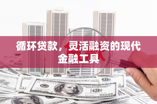 凤泉循环贷款，灵活融资的现代金融工具