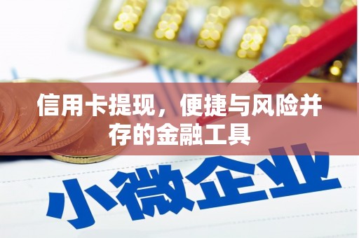 凤泉信用卡提现，便捷与风险并存的金融工具