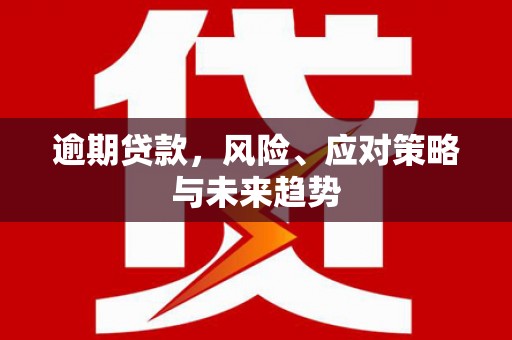 凤泉逾期贷款，风险、应对策略与未来趋势