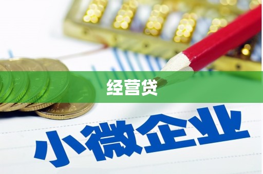 凤泉经营贷