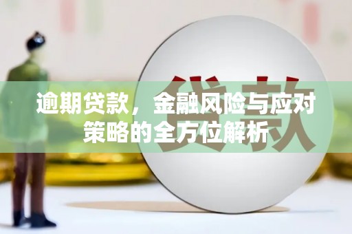 凤泉逾期贷款，金融风险与应对策略的全方位解析