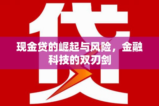 凤泉现金贷的崛起与风险，金融科技的双刃剑