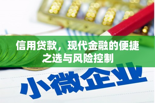 凤泉信用贷款，现代金融的便捷之选与风险控制