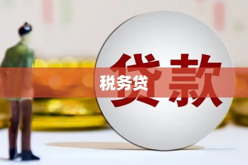 凤泉税务贷