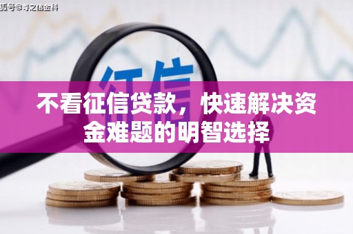 凤泉不看征信贷款，快速解决资金难题的明智选择
