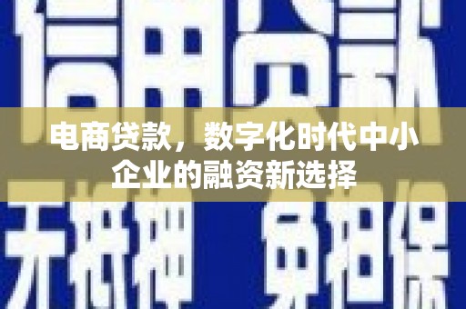 凤泉电商贷款，数字化时代中小企业的融资新选择
