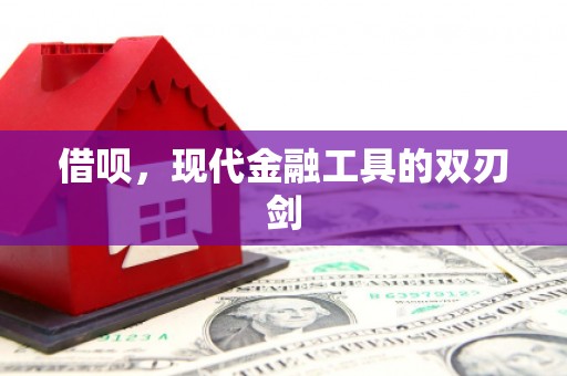 凤泉借呗，现代金融工具的双刃剑
